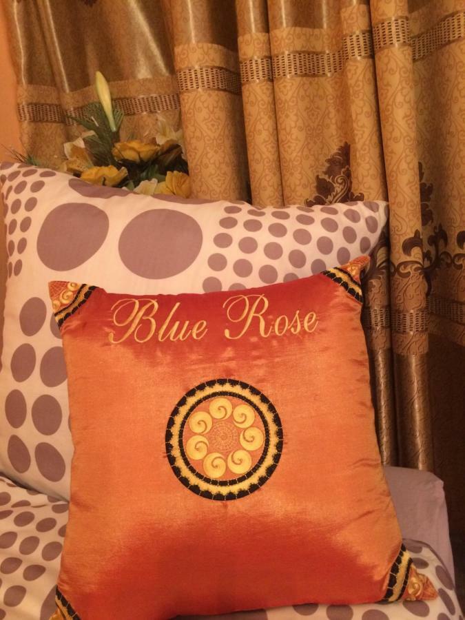Blue Rose Apartman Κάρλοβι Βάρι Εξωτερικό φωτογραφία